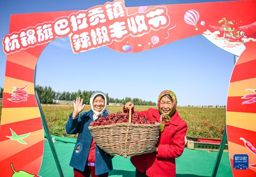 pt老虎机